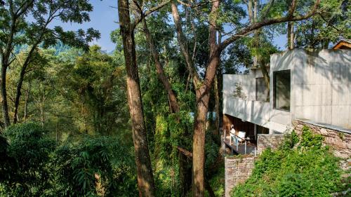 a house in the woods with trees at 至也 黄果树 in Xinggong