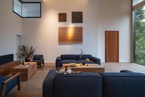 a living room with a cat laying on a couch at 至也 黄果树 in Xinggong