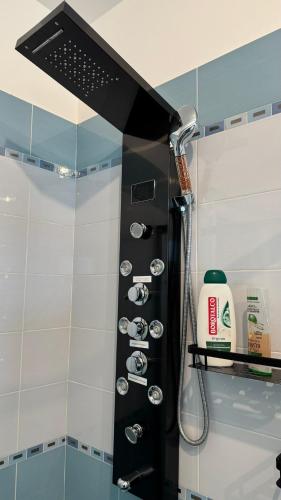 a shower in a bathroom with a shower head at Alle porte di Torino in Moncalieri