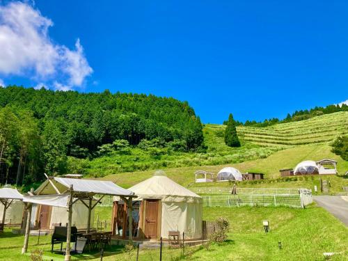 a group of tents in a field with a hill at Minamiaso BlueBeeGarden in Minami Aso