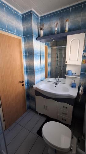 Koupelna v ubytování Apartma Arh