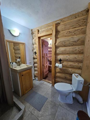 IzlazにあるCabana Dariaのトイレと洗面台付きのバスルーム