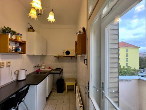 Η κουζίνα ή μικρή κουζίνα στο Apartment Sedlčanská - You Will Save Money Here - equipped with antique furniture