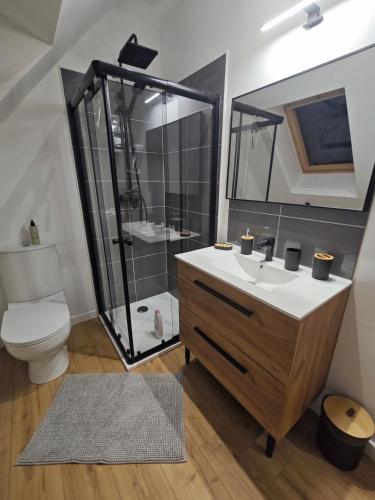 une salle de bain avec une douche, un lavabo et des toilettes dans l'établissement La grange des 3 colibris, à Écueillé