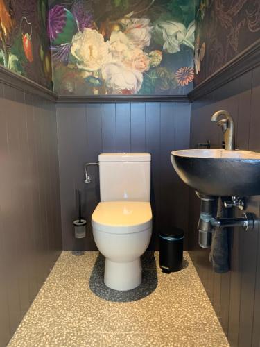 a bathroom with a toilet and a sink at Vernieuwd luxe voorhuis - naast de molens in Groot-Ammers