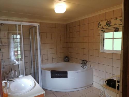 a bathroom with a tub and a shower and a sink at The Retreat Country Lodge in Romelcoh