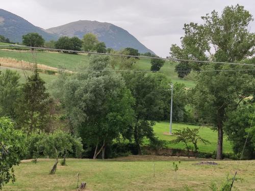 a field with trees and a mountain in the background at La Casa di Elena in Camerino