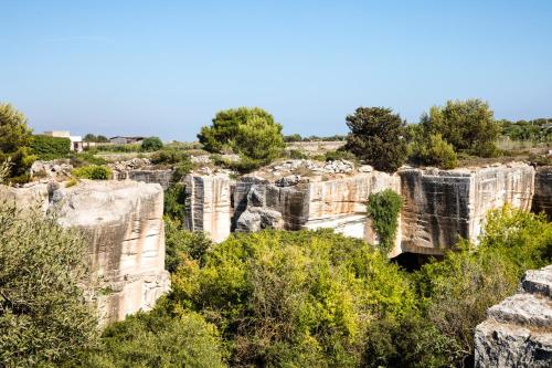 a group of rocks in a field with trees at Il Borgo Del Principino in Favignana