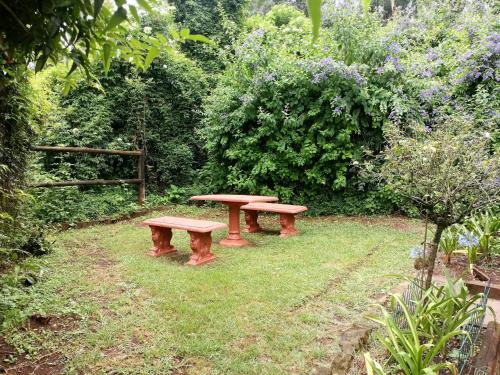 two benches sitting in the grass in a garden at The Retreat Country Lodge in Romelcoh