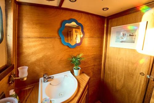 een badkamer met een wastafel en een spiegel aan de muur bij Gemütliches Wohnschiff in Brandenburg an der Havel