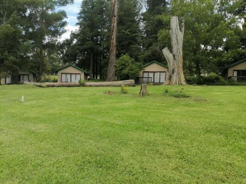 a large grass field with two houses and a tree at The Retreat Country Lodge in Romelcoh