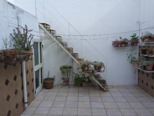 ヴェーリエにあるMaura Apartment by My Home Apuliaの鉢植えの中庭