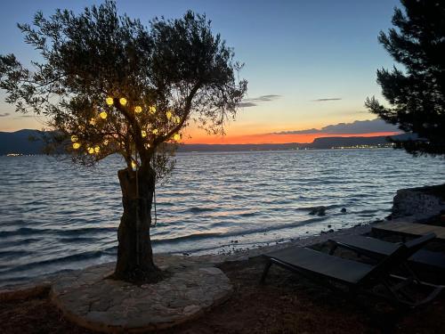 Φυσικό τοπίο κοντά σε αυτή η παραθεριστική κατοικία
