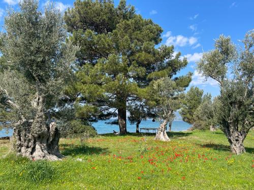 Φυσικό τοπίο κοντά σε αυτή η παραθεριστική κατοικία