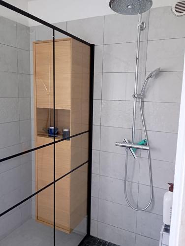 une douche avec une porte vitrée dans une salle de bain dans l'établissement Appartement lumineux avec terrasse de 50m2, à Antibes