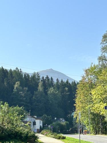 eine Straße mit Bäumen und einem Berg im Hintergrund in der Unterkunft Willa Kaliniec in Karpacz