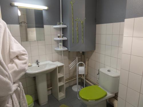 コルマールにあるCentre de Colmar Zum Harzalaのバスルーム(緑のトイレ、シンク付)
