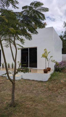a white house with two trees in a yard at MHARI Guest Rooms in San Juan