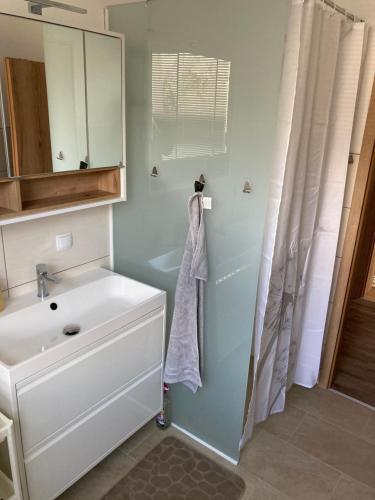 a bathroom with a sink and a mirror at Apartman Liezen in Liezen