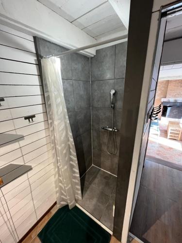 une douche avec une porte vitrée dans une salle de bain dans l'établissement Les gîtes de Lou, entre Blois et Chambord, à La Chapelle-Saint-Martin-en-Plaine