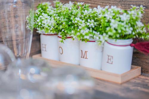 three white buckets with plants on a wooden shelf at Family Resort Plitvice Lakes in Rastovača