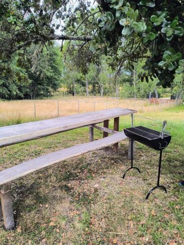 a wooden bench in a park with a bag on it at Casa entré Fundos in Lago Ranco