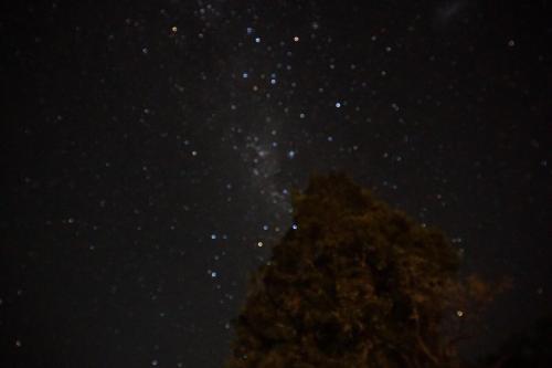 a starry night with a tree in the foreground at Casa entré Fundos in Lago Ranco