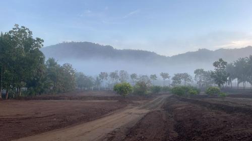 a dirt road in the middle of a field at Yes Yes Farms in Pollāchi