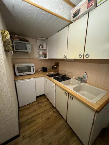 a small kitchen with a sink and a microwave at Appartement chalet 4-6 personnes au pied des pistes in Bagnères-de-Bigorre