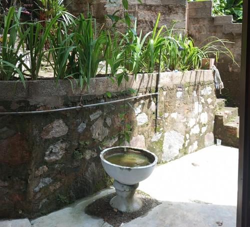 a toilet sitting in front of a stone wall at sajini home stay in Pilana