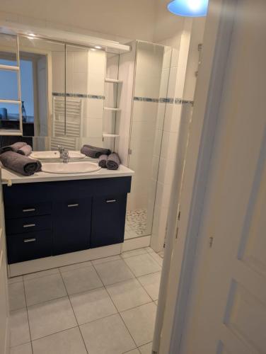 une salle de bain avec un lavabo et une douche dans l'établissement Appartement calme hyper centre, à Remiremont