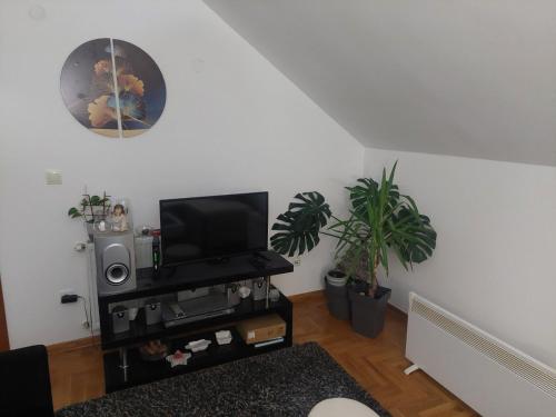 Televisyen dan/atau pusat hiburan di Jasna Apartman