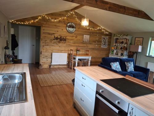 a kitchen and living room with a blue couch at The Potting Shed And The Garden Shed Self Catering in Carmarthen