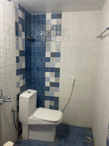 a bathroom with a toilet and blue and white tiles at Yes Yes Farms in Pollāchi