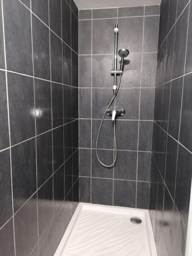 une salle de bain avec douche et toilettes dans l'établissement Home, Saint Léonard des bois, à Saint-Léonard-des-Bois