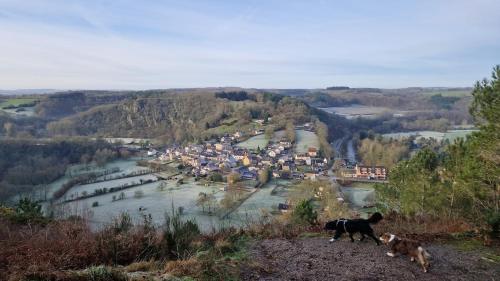 Deux chiens debout au sommet d'une colline avec une ville dans l'établissement Home, Saint Léonard des bois, à Saint-Léonard-des-Bois