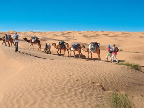 a group of people riding camels in the desert at Camp Sahara Holidays in Mhamid