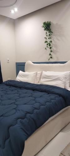 Studio Blue by Studio Fakhr