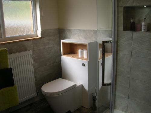 Un pequeño baño con inodoro y ducha. en Woodland Lodge Hot Tub Sleeps 6, en Hundred House