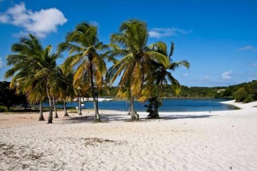 Phong cảnh thiên nhiên gần nhà khách