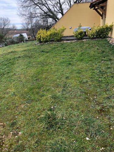 a yard with green grass and a house at Gîte du Causse in Boussac