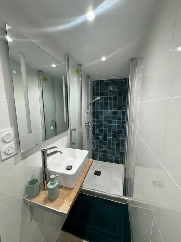 une salle de bain avec un lavabo et une douche avec un miroir dans l'établissement Coconing, à Reims