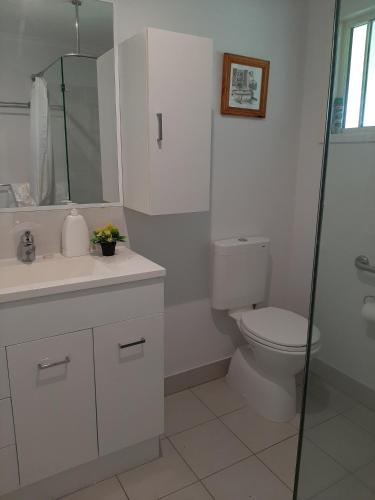 a bathroom with a toilet and a glass shower at Sanctuary Hills Cottage in Takura