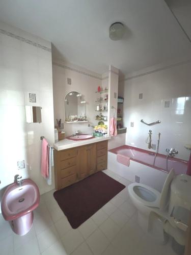 La salle de bains est pourvue d'un lavabo rose et de toilettes. dans l'établissement Villa Santa Rita, à Lucciana