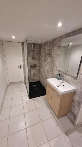 une salle de bain avec un lavabo, une douche et un miroir dans l'établissement La Petite Cuvée confort & elegance, à Beaune