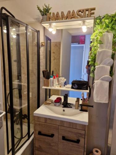 une salle de bain avec douche et lavabo dans l'établissement Studio vue panoramique, à Péone