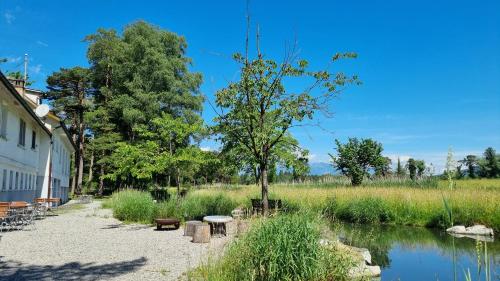 a park with benches and a pond and a building at Treffpunkt Heuwiese in Weite