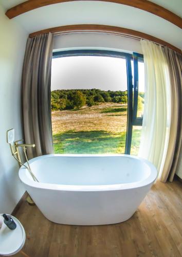 a bath tub in a bathroom with a window at Grosser Raw in Hamba
