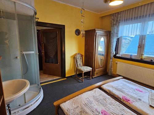 a bedroom with a shower and a bed and a sink at Thüringer Landhaus am Rennsteig in Gehlberg