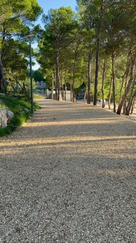 a road with trees on the side of the road at Perferct Day Mobile Home in Drage